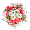 This arrangement is a joyful testament to spring's awakening, thoughtfully gathered by a Nine Elms florist to bring moments of cheer and renewal. Central white daisies, their hearts tinged a brilliant lime-green, bloom among clouds of coral-pink carnations, whose soft ruffles add texture and a sense of lively movement. Baby's breath threads playfully through the bouquet, their tiny white blossoms shining as delicately as the city lights reflected on the Thames at dusk. From between the blossoms, you catch glimpses of pale alstroemeria buds and eucalyptus leaves-their cool, matte tones providing gentle fragrance and tonal balance. The result is an uplifting bouquet, calm yet exuberant, ideal for making birthdays brighter, congratulating friends, or simply bringing a sense of celebration to a modern space in Nine Elms or neighboring Battersea. With its airy shape and immaculate presentation, this bouquet captures the care and inspiration found in the local florists' work, ready to be delivered as a fresh burst of happiness and colour to homes and offices across the neighbourhood.